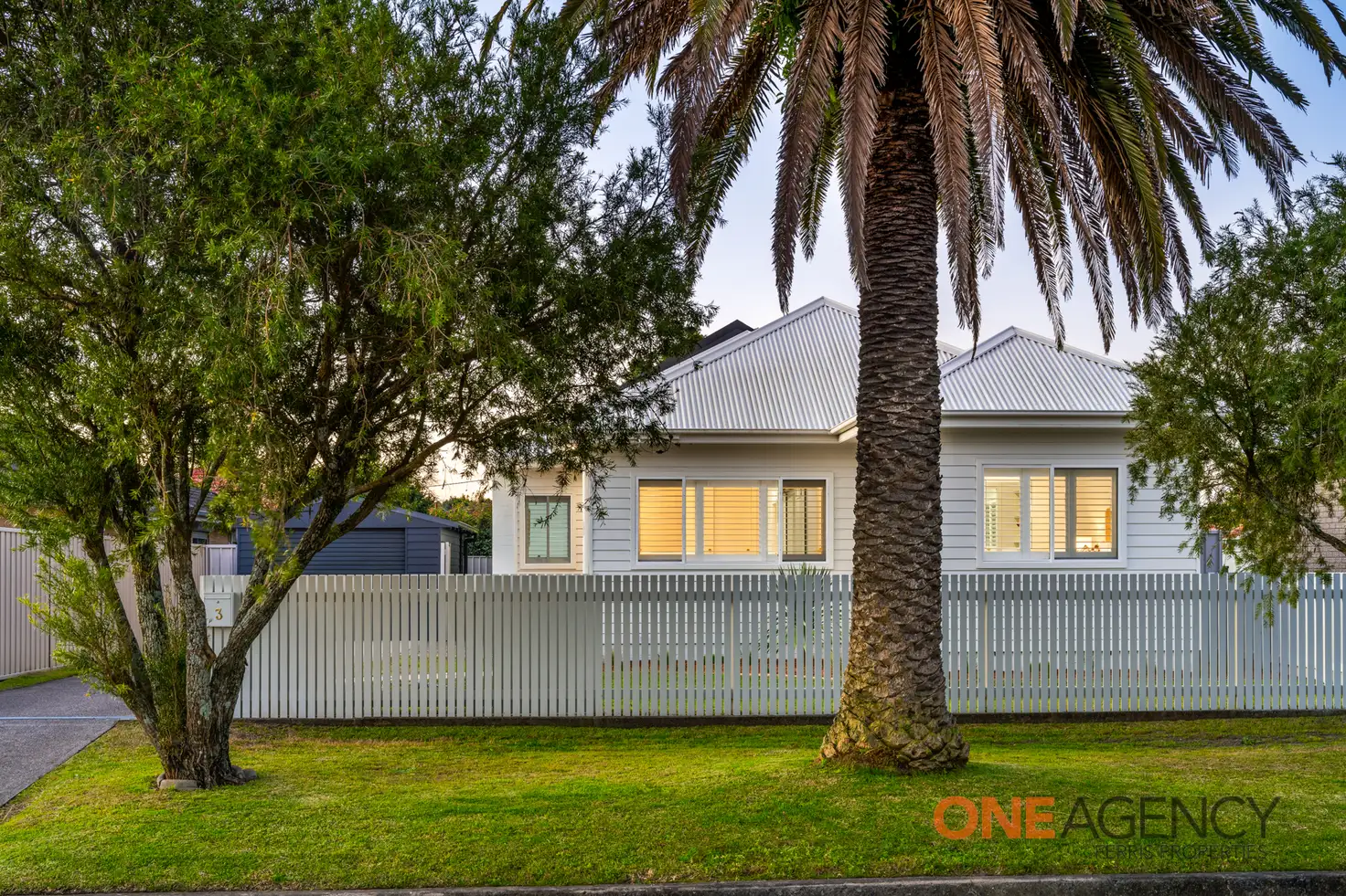 Main view of Homely house listing, 3 Mena Street, Mayfield NSW 2304