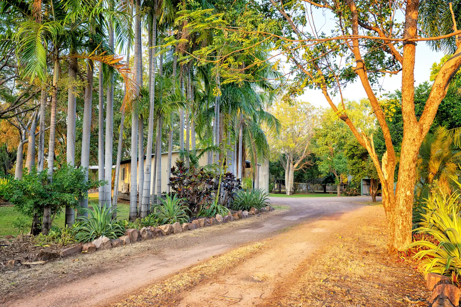 Main view of Homely rural property listing, Lot 36 Weaber Plain Road, Kununurra WA 6743