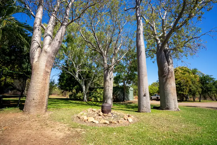 Sixth view of Homely rural property listing, Lot 36 Weaber Plain Road, Kununurra WA 6743
