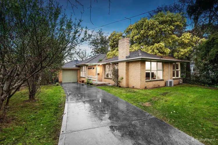 36 Clifton Street, Blackburn VIC 3130