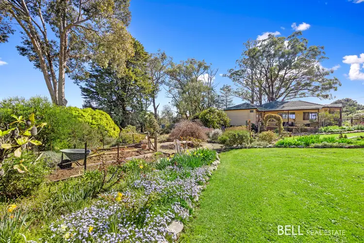 Second view of Homely house listing, 505/65 Lusatia Park Road, Hoddles Creek VIC 3139