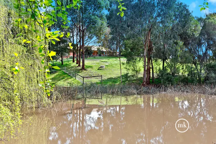 Fourth view of Homely house listing, 1579 Melba Highway, Dixons Creek VIC 3775