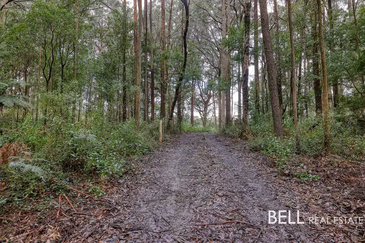 Main view of Homely rural property listing, 1080 Beenak East Road, Gembrook VIC 3783