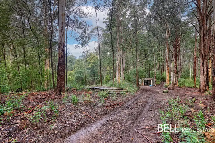 Second view of Homely rural property listing, 1080 Beenak East Road, Gembrook VIC 3783