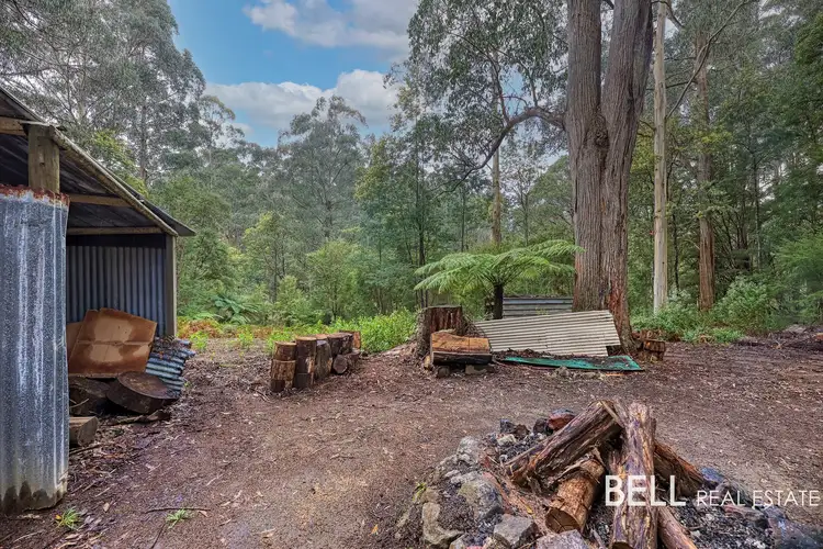 Fifth view of Homely rural property listing, 1080 Beenak East Road, Gembrook VIC 3783