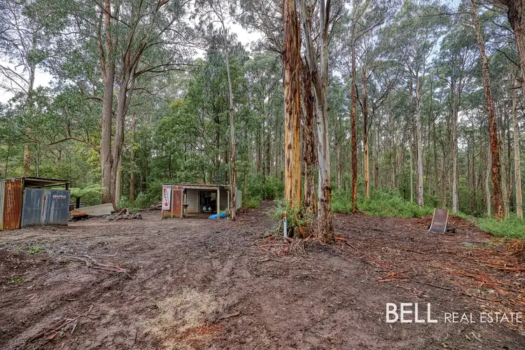 Seventh view of Homely rural property listing, 1080 Beenak East Road, Gembrook VIC 3783