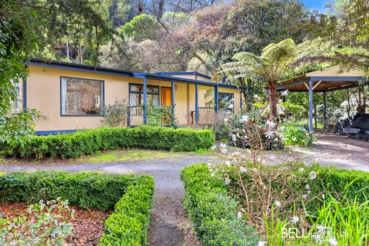 903/10 Woods Point Road, East Warburton VIC 3799