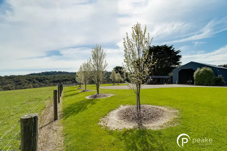 Main view of Homely house listing, 191 Belgrave Hallam Road, Belgrave South VIC 3160