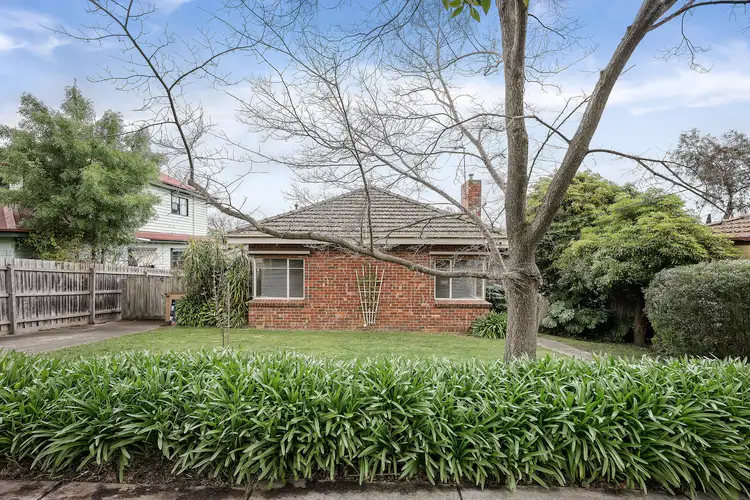 Main view of Homely house listing, 20 Combarton Street, Box Hill VIC 3128