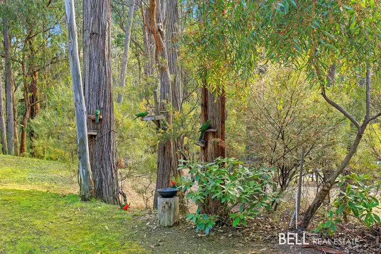 Third view of Homely land listing, 38 Fisherman Drive, Reefton VIC 3799
