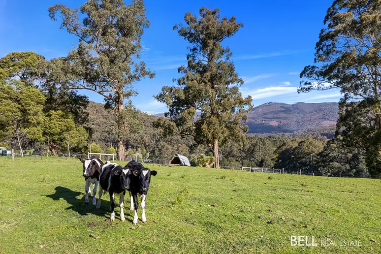 Third view of Homely house listing, 140 Blacksands Road, Three Bridges VIC 3797