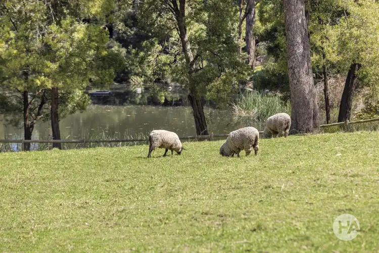 Third view of Homely rural property listing, 17 Bourke Road, Red Hill VIC 3937