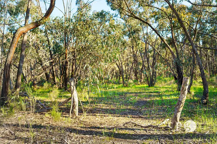 Second view of Homely land listing, 65 Sparks Road, Chewton VIC 3451