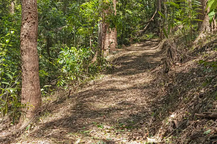 Fourth view of Homely land listing, 63 Forest Ridge Drive, Doonan QLD 4562