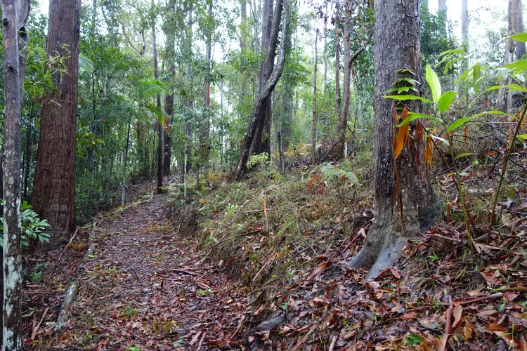 Fifth view of Homely land listing, 63 Forest Ridge Drive, Doonan QLD 4562