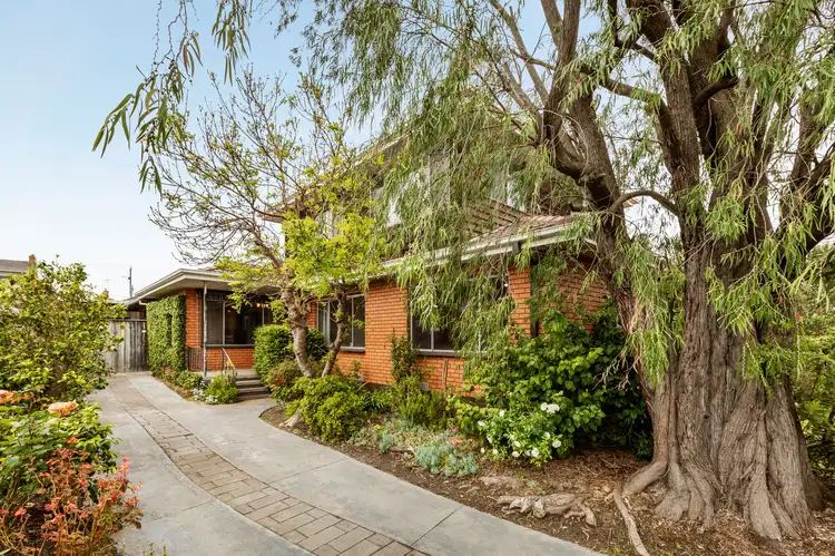 24 Fairview Avenue, Cheltenham VIC 3192