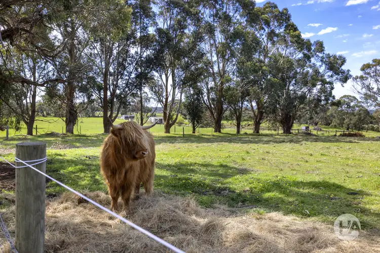 335 Old Moorooduc Road, Tuerong VIC 3915