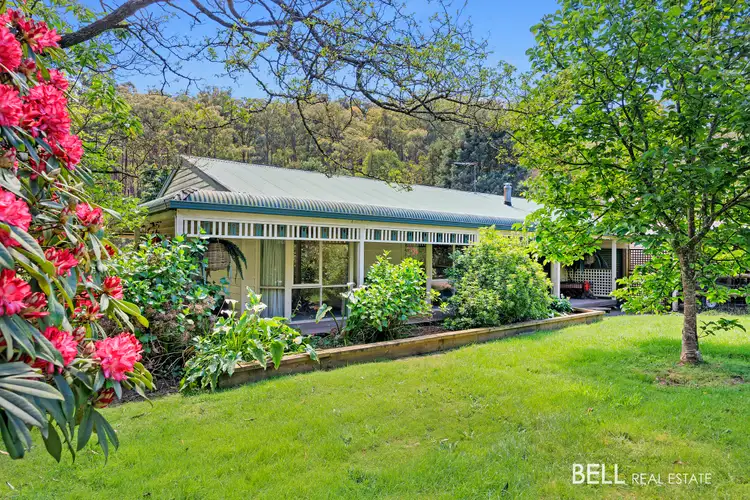 Second view of Homely house listing, 1563 Little Yarra Road, Powelltown VIC 3797