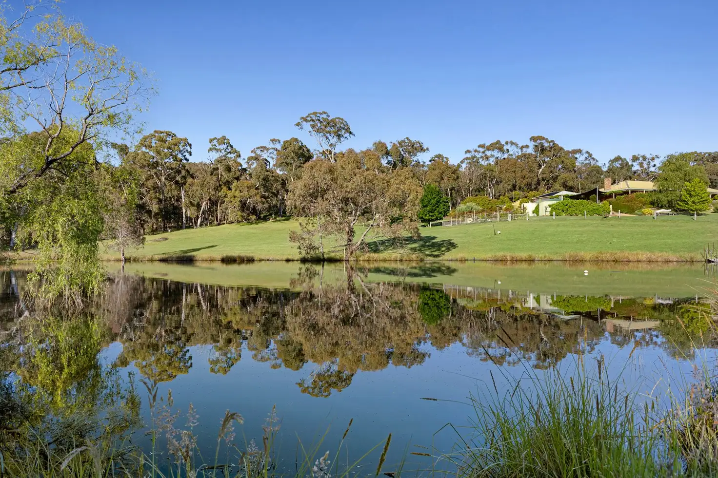Main view of Homely house listing, 10 Shirley Drive, Taradale VIC 3447