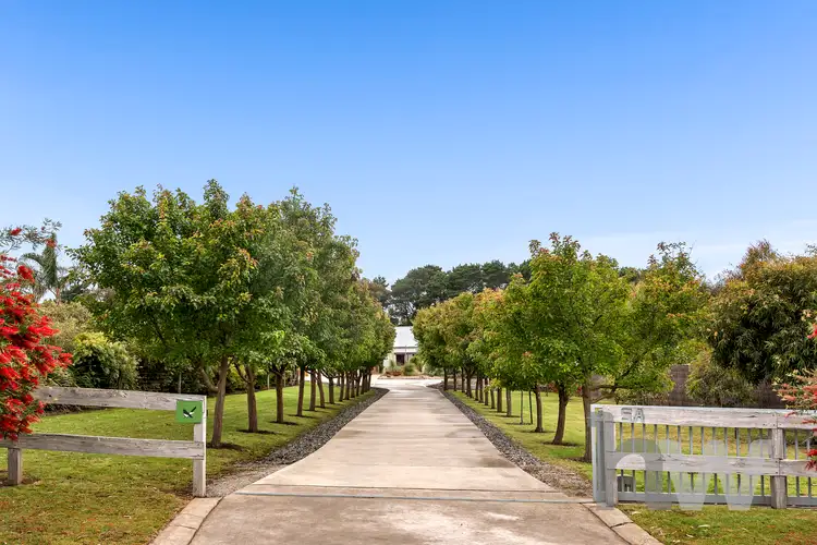Main view of Homely house listing, 5A Jetti Lane, Torquay VIC 3228