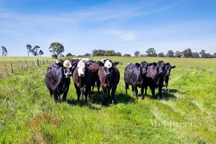 Sixth view of Homely land listing, 192 Mossops Road, Bullarto VIC 3461