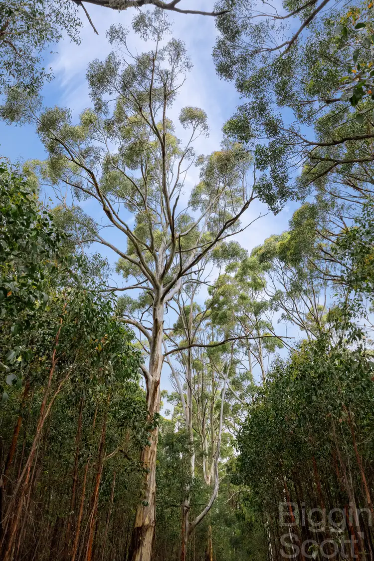 Third view of Homely land listing, 1&2/TP7191 Sullivan Street, Daylesford VIC 3460