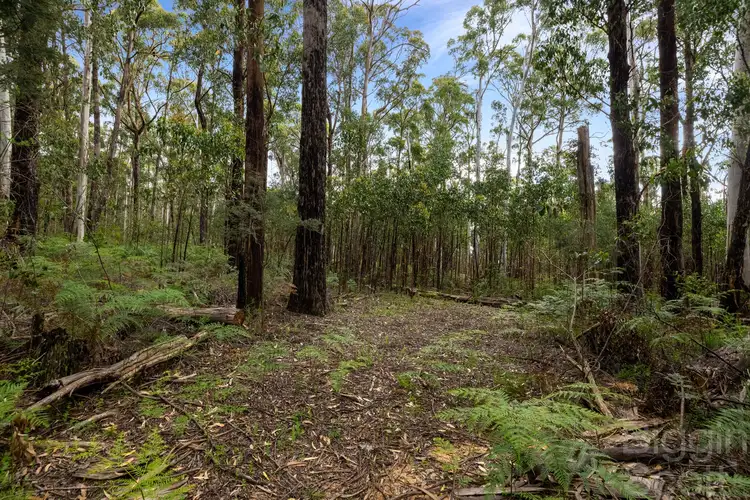 Fourth view of Homely land listing, 1&2/TP7191 Sullivan Street, Daylesford VIC 3460