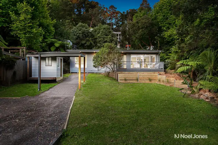 41 Hazel Grove, Tecoma VIC 3160