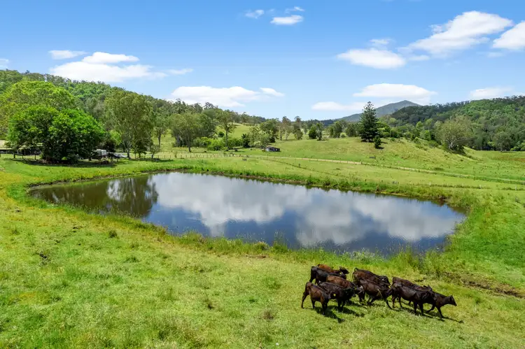 Fourth view of Homely rural property listing, 427 Hillyards Road, Boorabee Park NSW 2480