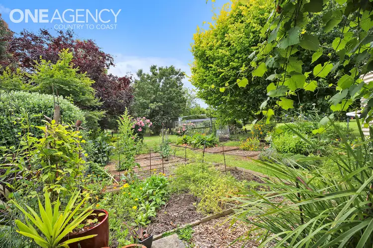 Fifth view of Homely house listing, 5 Arnup Crescent, Drouin VIC 3818