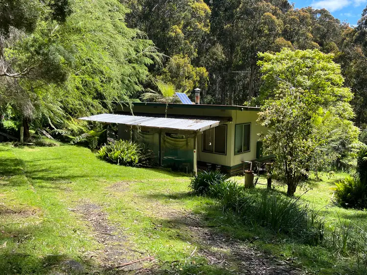 Second view of Homely house listing, 3508 Mt Baw Baw Tourist Road, Tanjil Bren VIC 3833