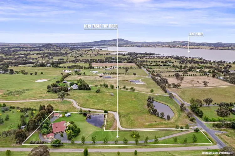 Third view of Homely house listing, 1019 Table Top Road, Table Top NSW 2640