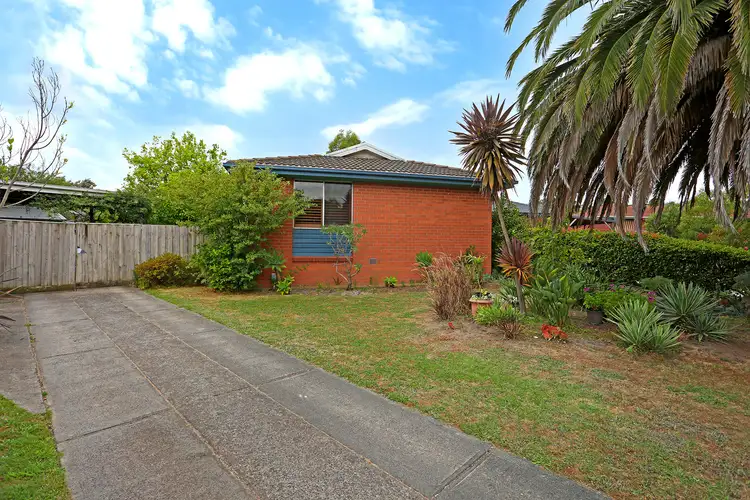 Second view of Homely house listing, 6 Nadia Court, Endeavour Hills VIC 3802