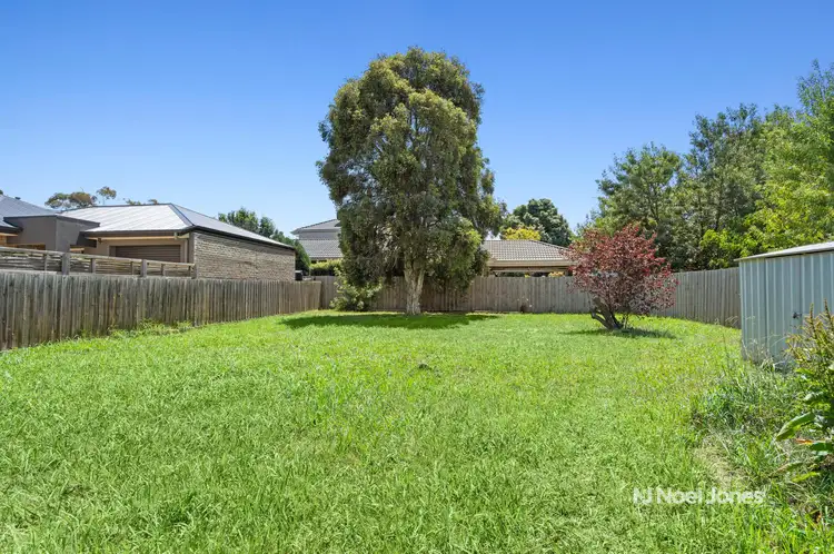 Third view of Homely house listing, 45 Pine Crescent, Boronia VIC 3155