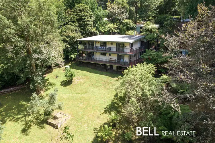 Main view of Homely house listing, 24 Monbulk Road, Belgrave VIC 3160