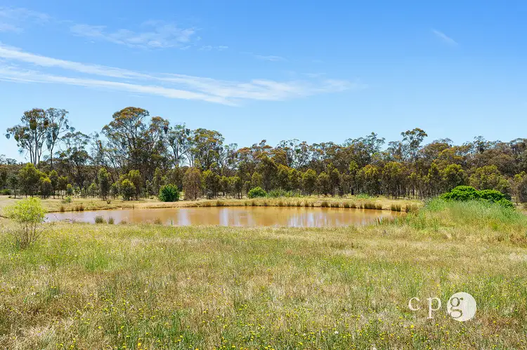 Fourth view of Homely land listing, 801 Maldon Newstead Road, Maldon VIC 3463