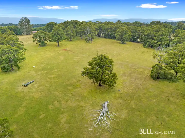170 Eacotts Road, Hoddles Creek VIC 3139