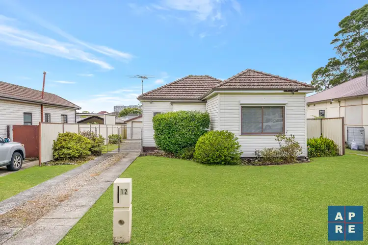 12 Hillcrest Avenue, Villawood NSW 2163