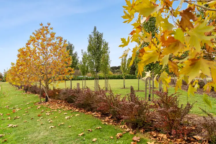Second view of Homely house listing, 1331 Daylesford Trentham Road, Lyonville VIC 3461