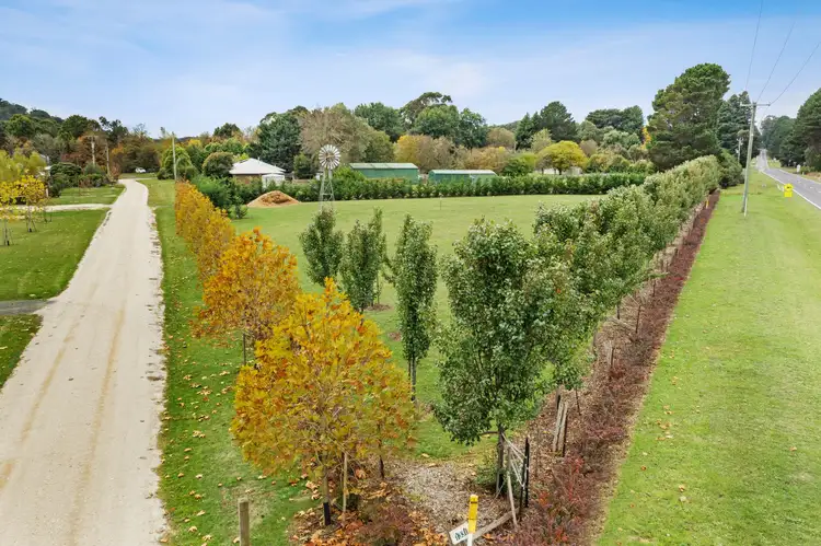Fifth view of Homely house listing, 1331 Daylesford Trentham Road, Lyonville VIC 3461