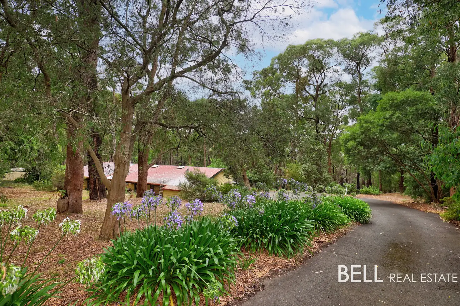 Main view of Homely house listing, 6 Azalea Crescent, Emerald VIC 3782