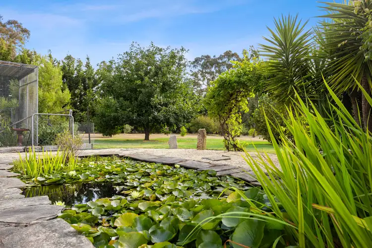 Main view of Homely house listing, 29 Trevor Drive, Taradale VIC 3447