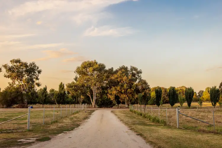 Third view of Homely house listing, 1113 Table Top Road, Table Top NSW 2640