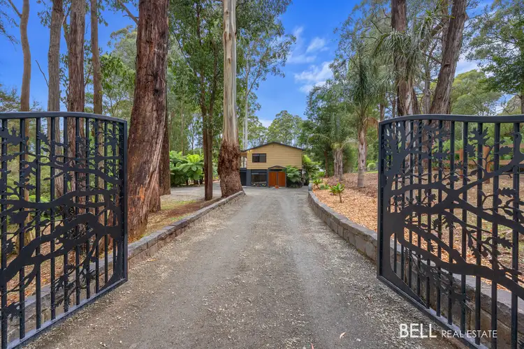 225 Big Pats Creek Road, Big Pats Creek VIC 3799