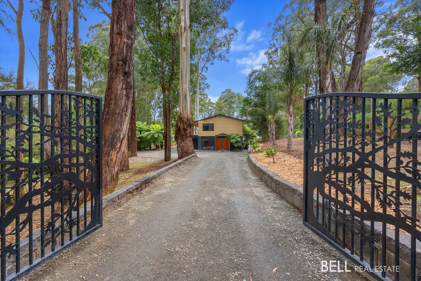 Main view of Homely house listing, 225 Big Pats Creek Road, Big Pats Creek VIC 3799