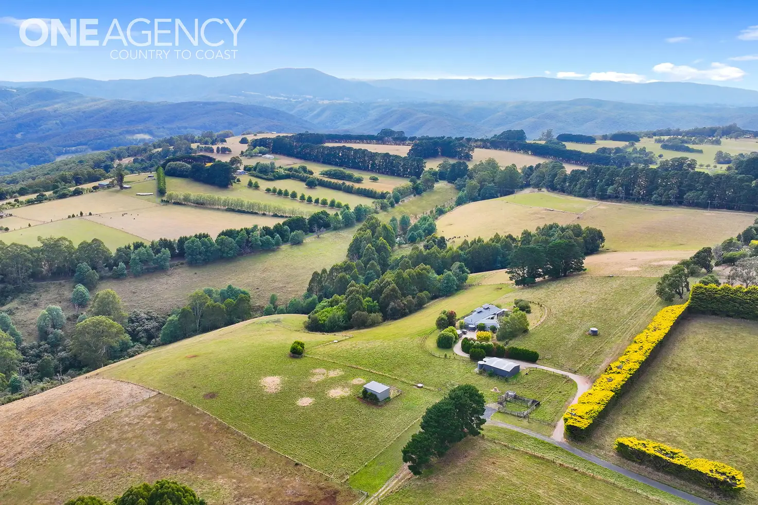 Main view of Homely rural property listing, 50 Harvie Road, Neerim Junction VIC 3832