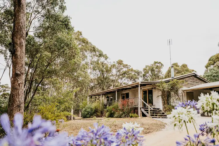 54 Woolnoughs Road, Porcupine Ridge VIC 3461