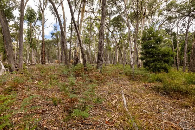 Second view of Homely land listing, 25 Mary Road, Wheatsheaf VIC 3461