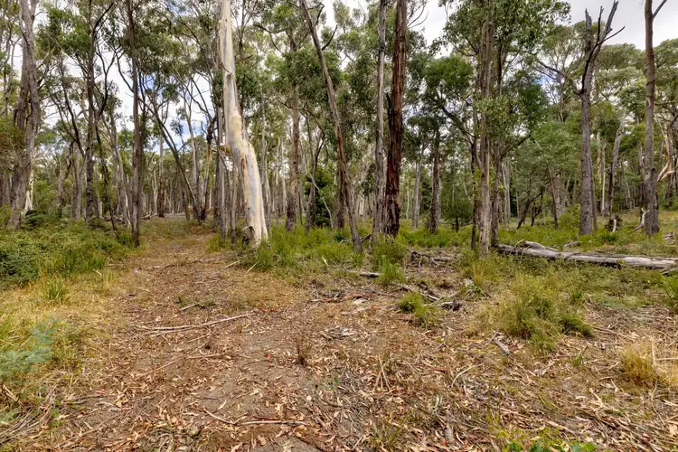 Third view of Homely land listing, 25 Mary Road, Wheatsheaf VIC 3461