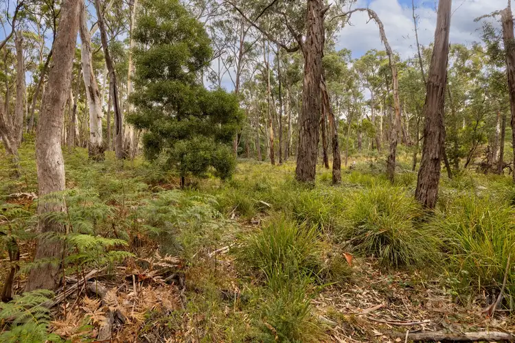 Fourth view of Homely land listing, 25 Mary Road, Wheatsheaf VIC 3461